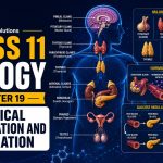 NCERT Solutions For Class 11 Biology Chapter 19-Chemical Coordination and Integration