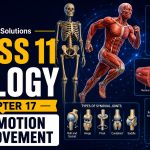 NCERT Solutions For Class 11 Biology Chapter 17-Locomotion and Movement