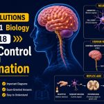 NCERT Solutions For Class 11 Biology chapter 18-Neural Control And Coordination