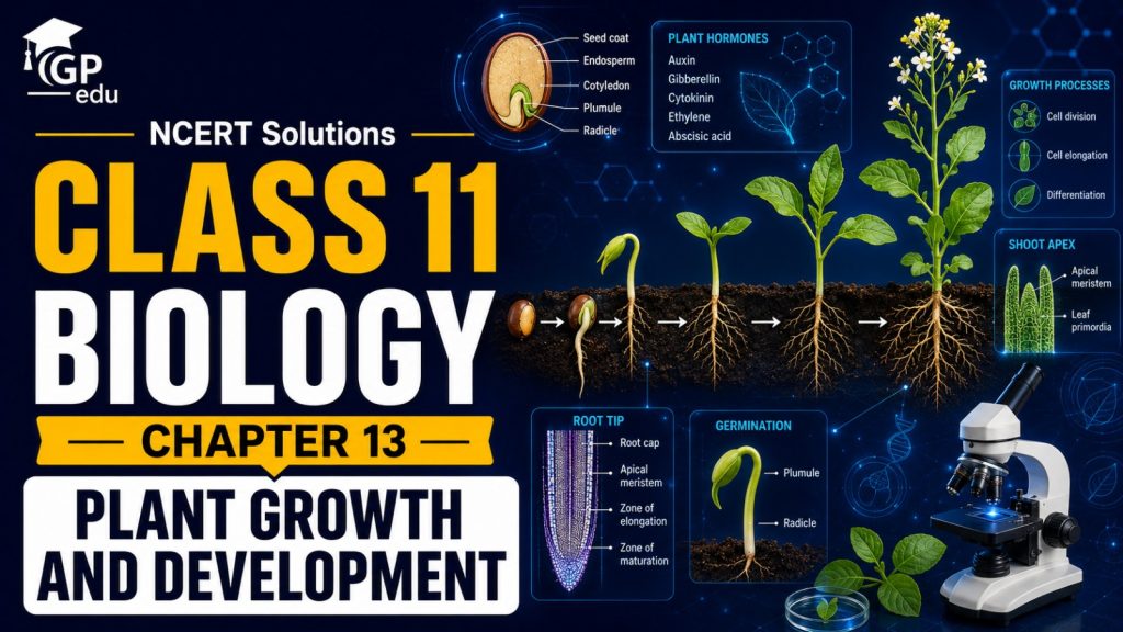 NCERT Solutions For Class 11 Biology chapter 13-Plant Growth and Development